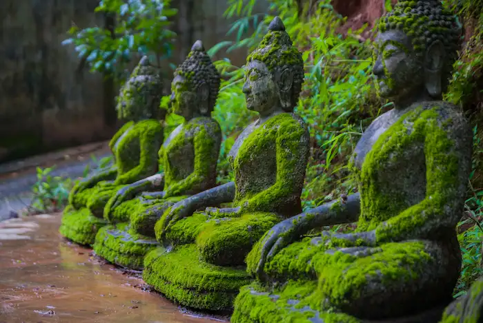 苔に覆われた仏像と隣に立つ仏像。静寂な空間と自然が調和した神聖な風景
