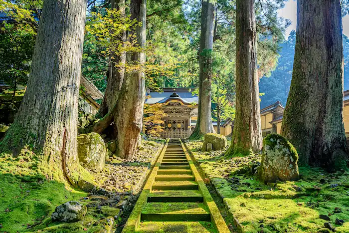 秋の永平寺 福井県吉田郡