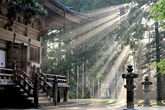 神社の境内に降り注ぐ神聖な光—スピリチュアルなエネルギーを感じる場所